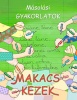 Foglalkoztató füzet gyakorló makacs kezek - másolási gyakorlatok