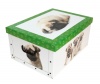 Tárolódoboz karton maxi 52x40x25 cm kutya boxer zöld