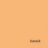 Karton Clairefontaine Maya A/4 270g barack