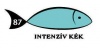 Karton Rainbow 50x70 cm 230g intenzív kék 87