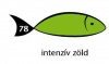 Karton Rainbow 50x70 cm 230g intenzív mélyzöld 78