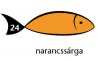 Karton Rainbow 50x70 cm 230g intenzív narancssárga 24