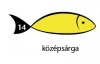 Karton Rainbow 50x70 cm 230g pasztell középsárga 14