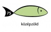 Karton Rainbow 50x70 cm 230g pasztell középzöld 75