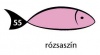 Karton Rainbow 50x70 cm 230g pasztell rózsaszín 55