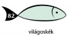 Karton Rainbow 50x70 cm 230g pasztell világoskék 82