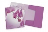 Gumis mappa PP ErichKrause Romantique A/4