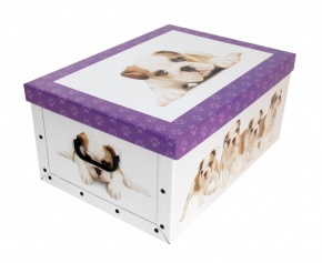 Tárolódoboz karton maxi 52x40x25 cm kutya angol bulldog lila