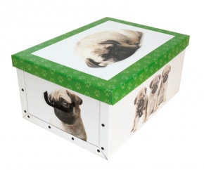 Tárolódoboz karton maxi 52x40x25 cm kutya boxer zöld