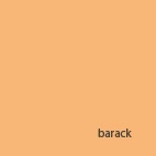 Karton Clairefontaine Maya A/4 270g barack