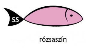 Karton Rainbow 50x70 cm 230g pasztell rózsaszín 55