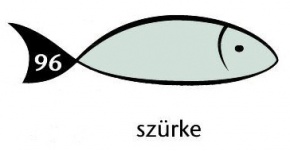 Karton Rainbow 50x70 cm 230g pasztell szürke 96