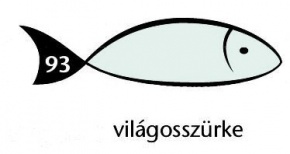 Karton Rainbow 50x70 cm 230g pasztell világosszürke 93