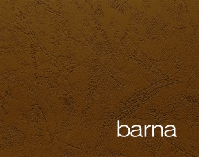 Karton bőrhatású Clairefontaine Text and Cover A/4 270g barna 100 ív/csomag