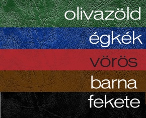 Karton bőrhatású Clairefontaine Text and Cover A/4 270g sötét vegyes szín 5x20 ív/csomag