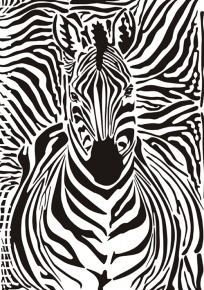 Spirálfüzet pd A/4-70 lapos vonalas zebra
