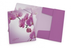Gumis mappa PP ErichKrause Romantique A/4